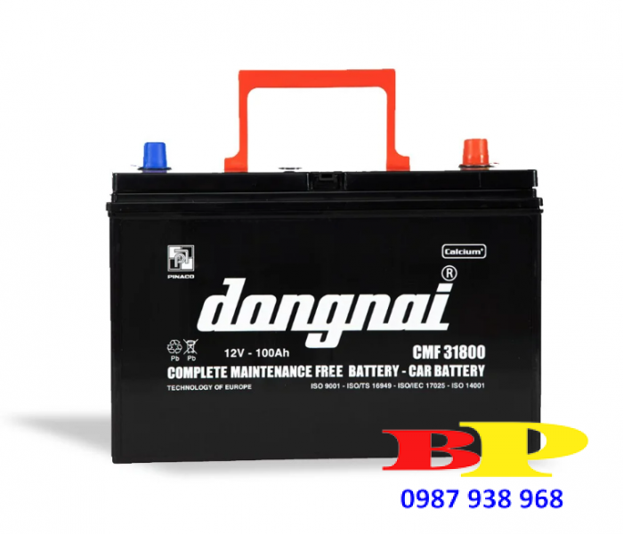 Ắc quy khô miễn bảo dưỡng Đồng Nai CMF 31800 - 12V - 100Ah