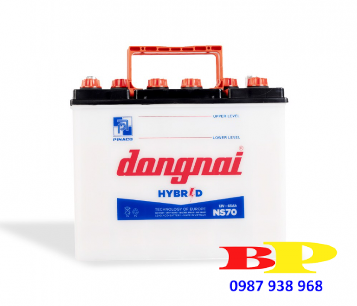Ắc quy Hybrid Đồng Nai NS70 - 12V - 65Ah